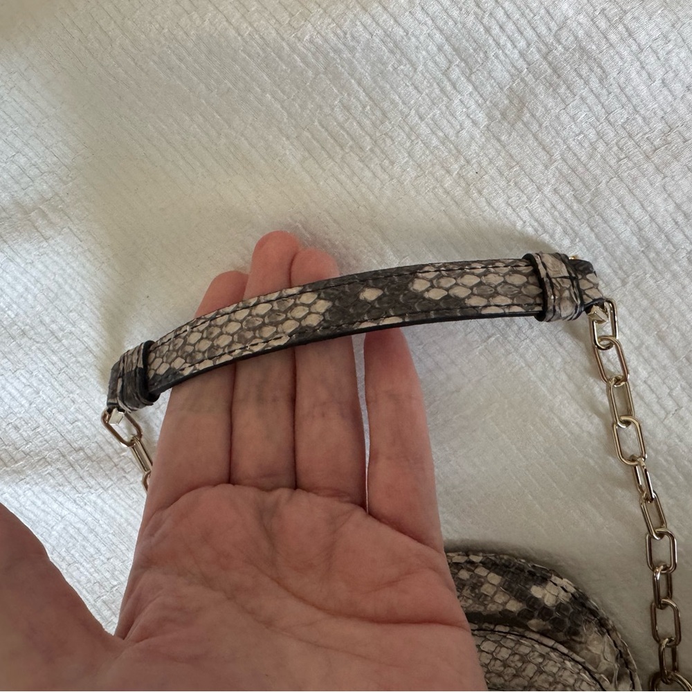 Authentic Christian Dior Mini D-Joy Python Bag in Cream with Gold Hardware - Picture 6 of 11